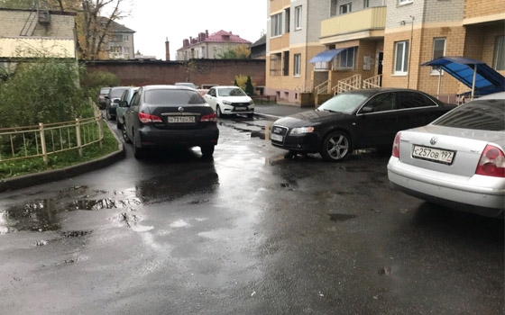 В Брянске закидали яйцами Audi «оленя парковки»