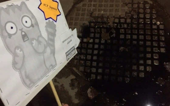 «Справедливороссы» украсили котиками текущую канализацию у «Брянконфи»