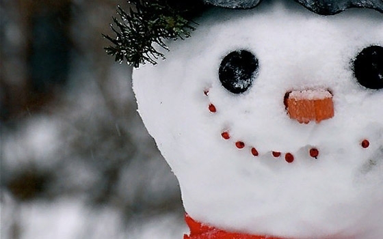 7 декабря в Брянской области будет снежно