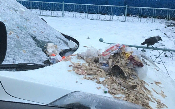 В Брянске «мститель» вывалил мусор на припаркованную машину