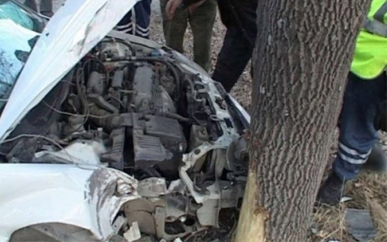 В Клинцах водитель Honda врезался в дерево: ранена девушка