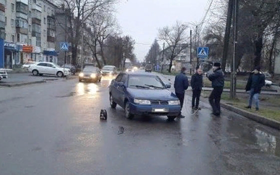 Водитель «ВАЗа» сбил женщину на улице Шолохова в Брянске