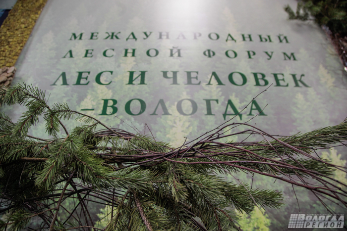 В Вологде вручили медали выставки «Российский лес»